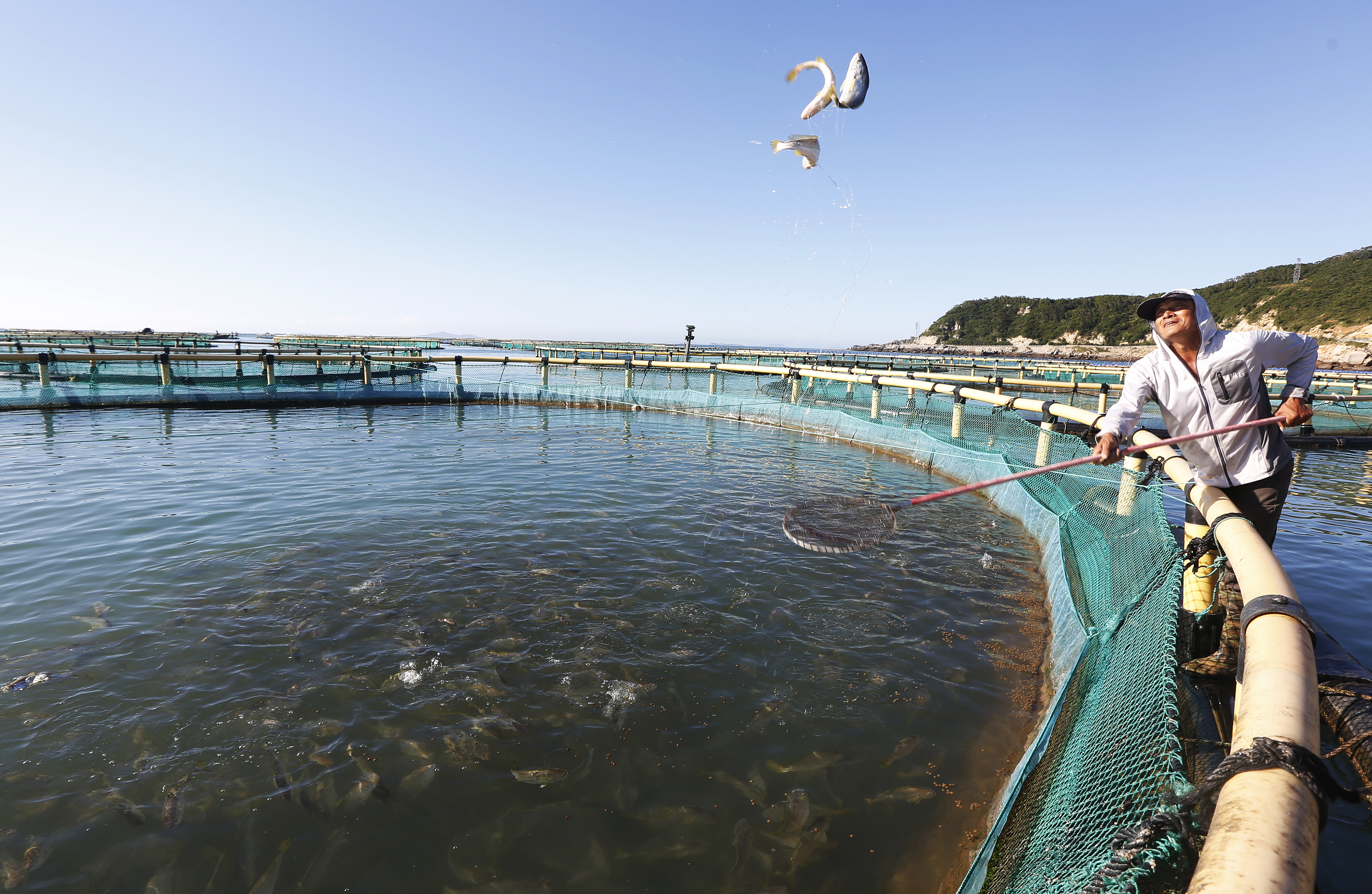 From Tide to Table: A Day of Seafood in Wenzhou