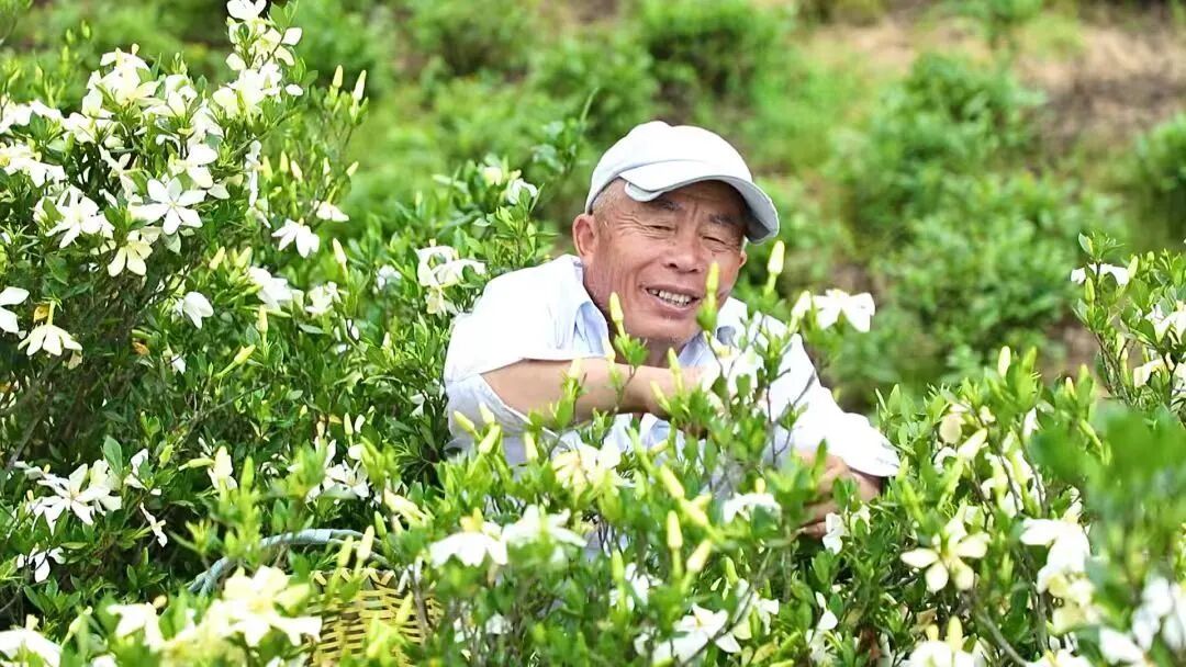 温州味道的十张国家名片