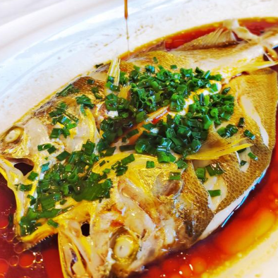Yellow Croaker
